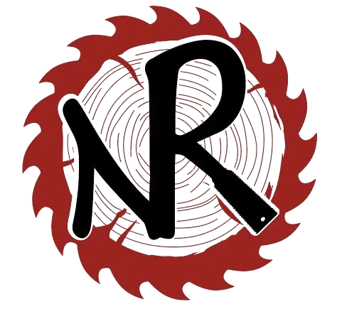 Logo Nicola Rocchetti